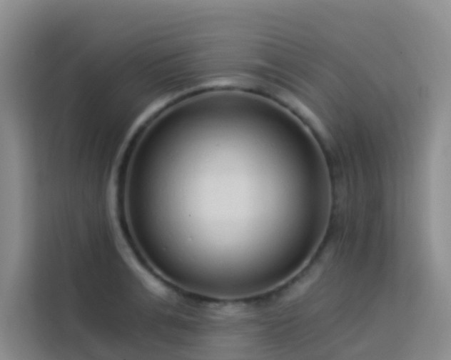 X0000114130991200910081241