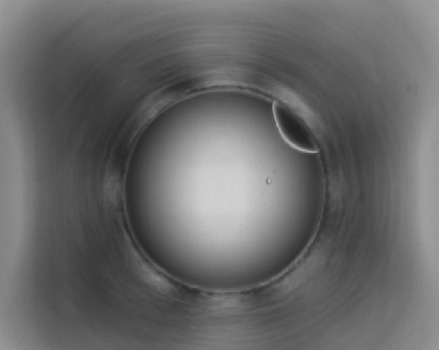 X0000114130993200910081241