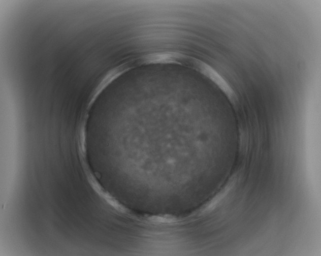 X0000114130994200910081241