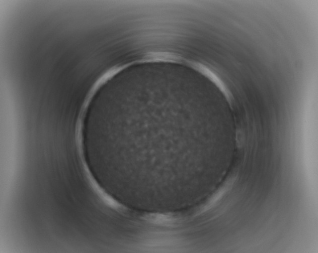 X0000114130995200910081240