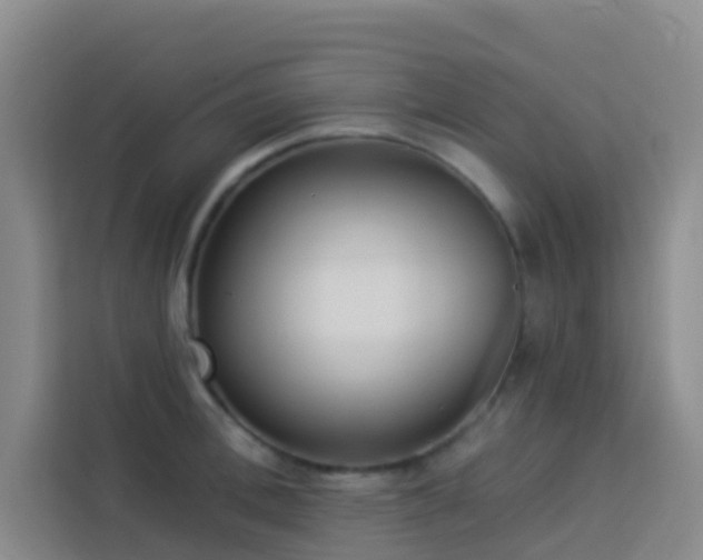 X0000114130996200910081240