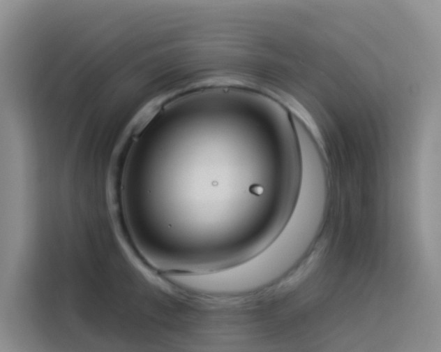 X0000114130997200910081240