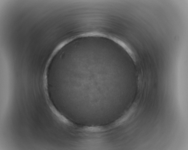 X0000114130998200910081240