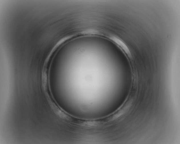 X0000114131000200910081240