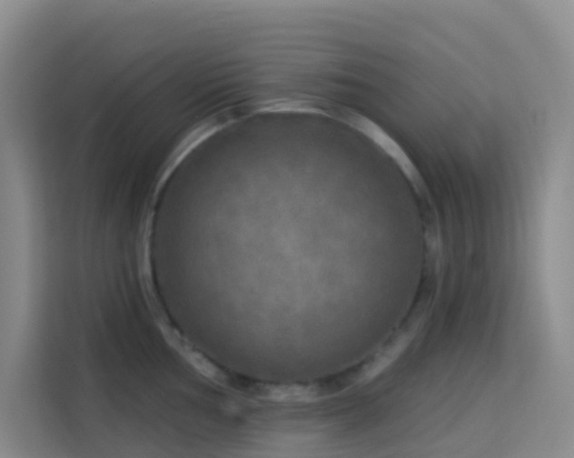X0000114131002200910081240