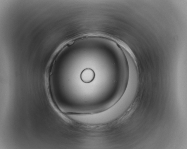 X0000114131005200910081240