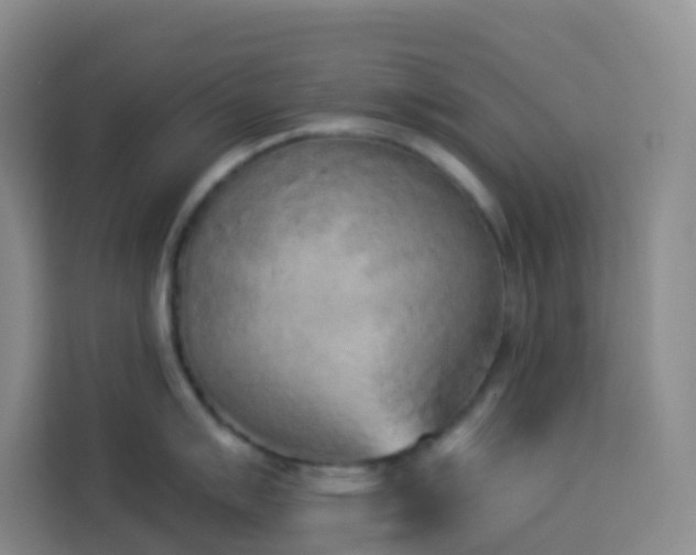 X0000114131007200910081240