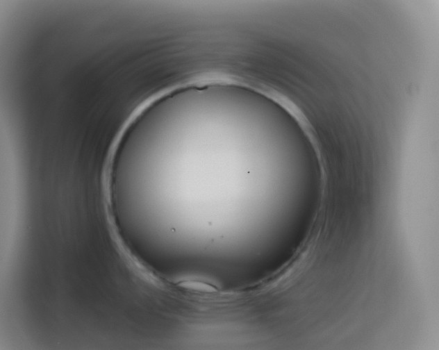 X0000114131008200910081240