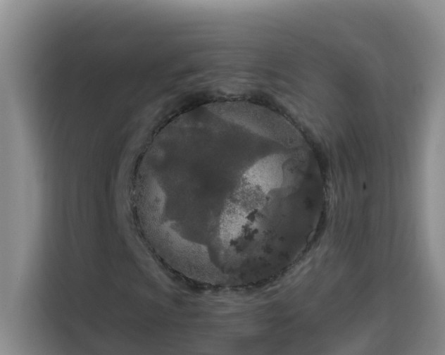X0000114131009200910081240