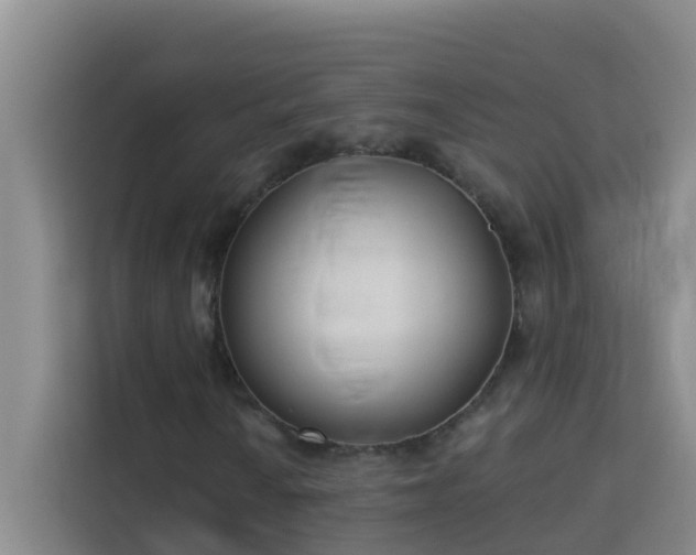 X0000114131010200910081240