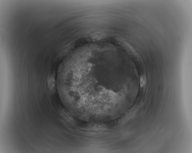 X0000114131011200910081240