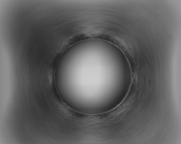 X0000114131012200910081240