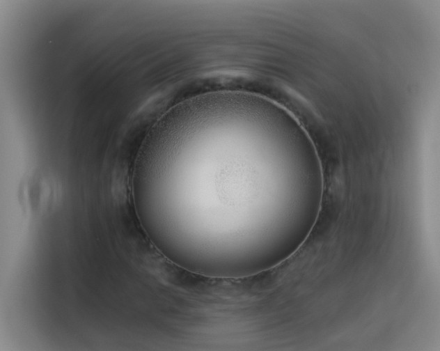 X0000114131014200910081240