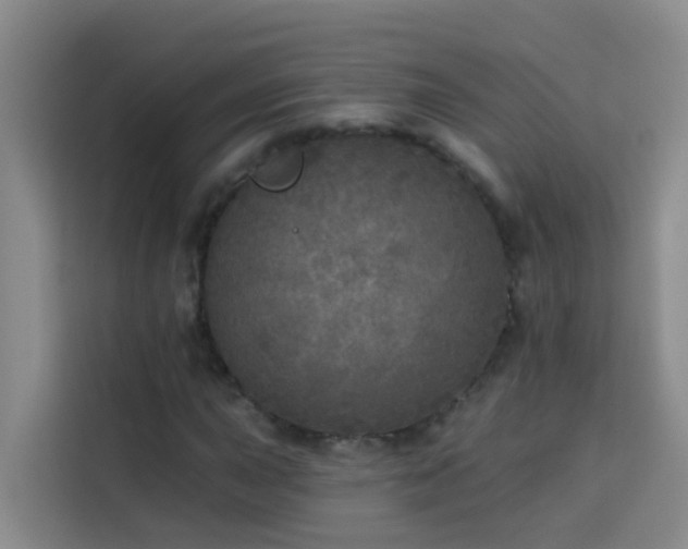 X0000114131015200910081240