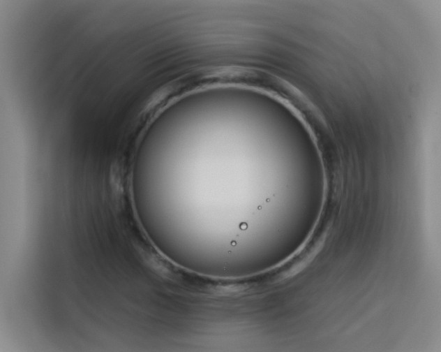 X0000114131017200910081240
