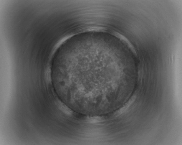 X0000114131019200910081240
