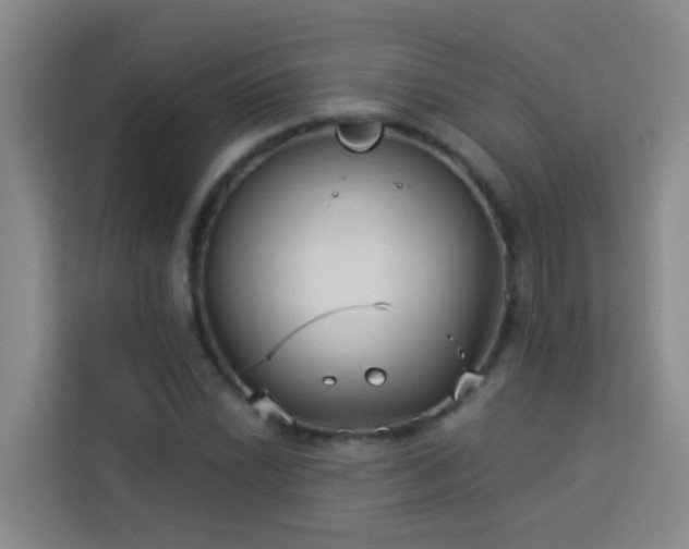 X0000114131022200910081240