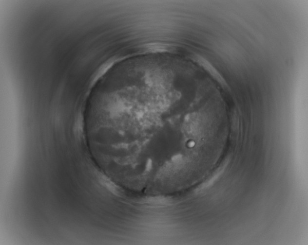 X0000114131023200910081240