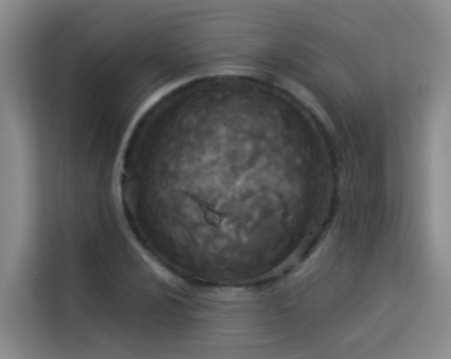 X0000114131024200910081240