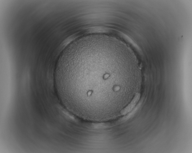 X0000114131025200910081240