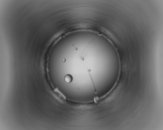 X0000114131026200910081240
