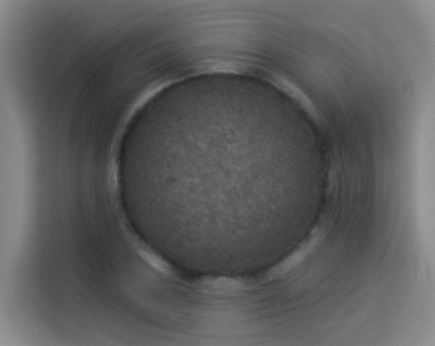 X0000114131027200910081240