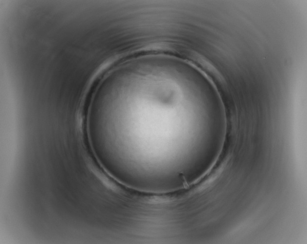 X0000114131029200910081240