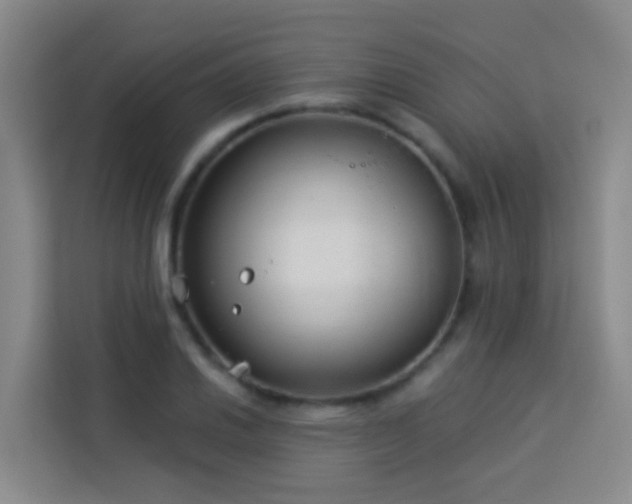 X0000114131030200910081240