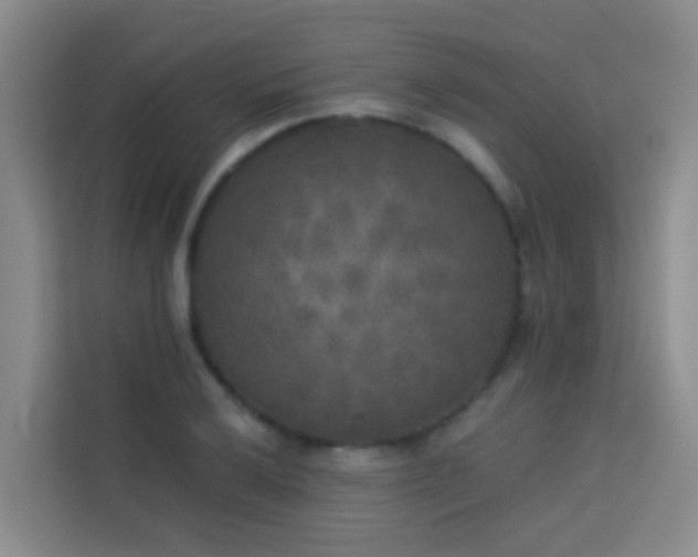 X0000114131032200910081240