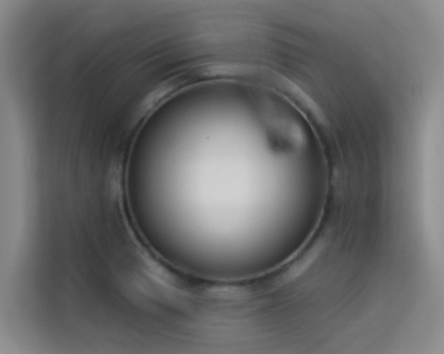 X0000114131033200910081240