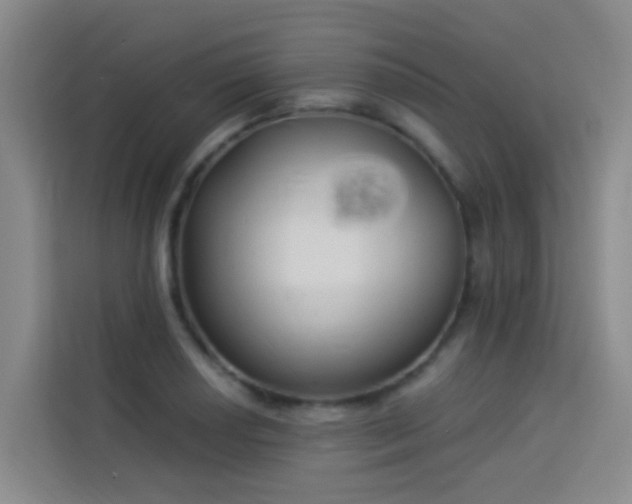 X0000114131034200910081240