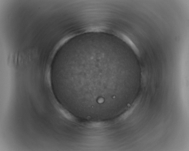 X0000114131035200910081240