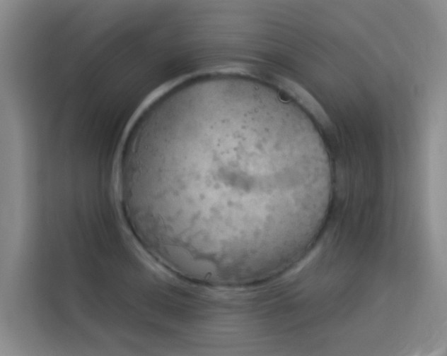 X0000114131036200910081240