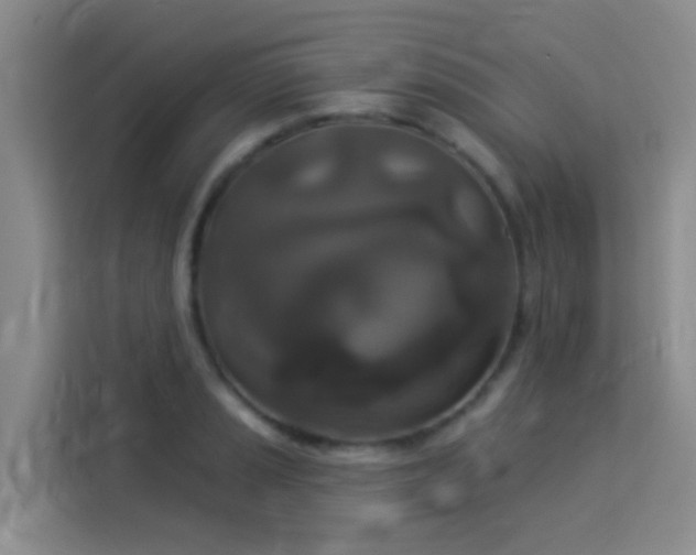 X0000114131037200910081240