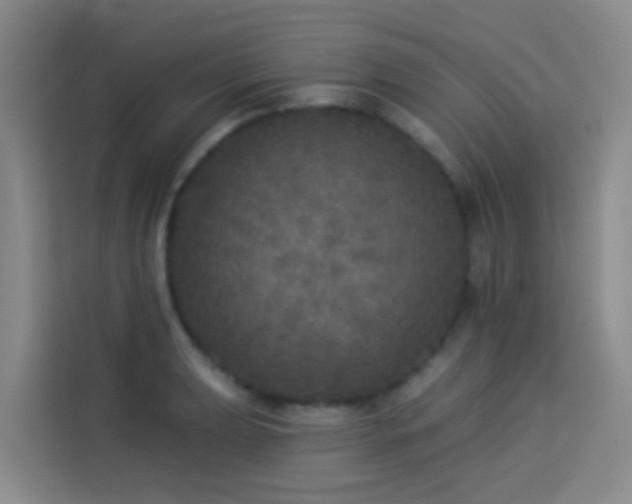 X0000114131039200910081240