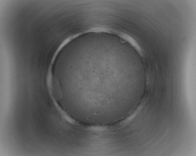 X0000114131040200910081240