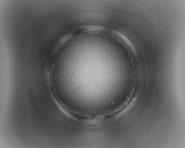 X0000114131041200910081240