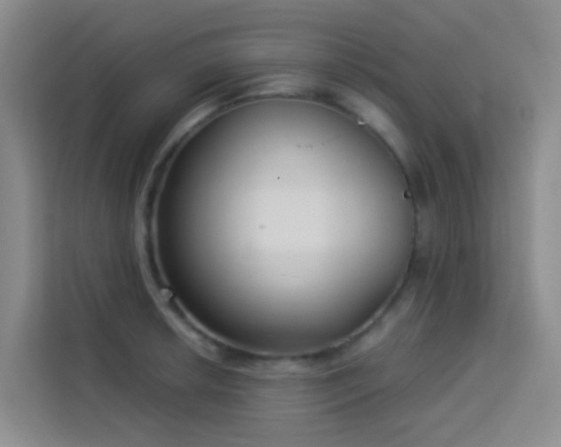 X0000114131042200910081240