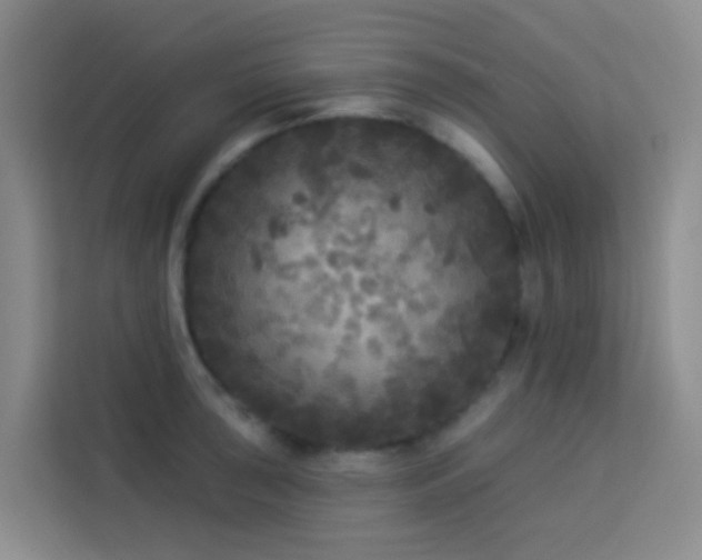 X0000114131043200910081240