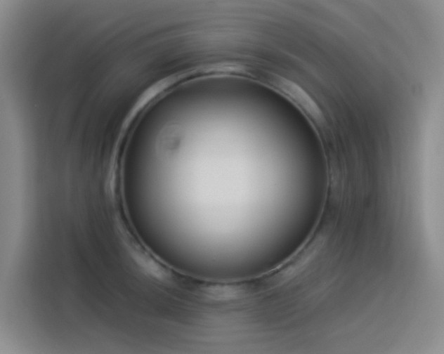 X0000114131044200910081240