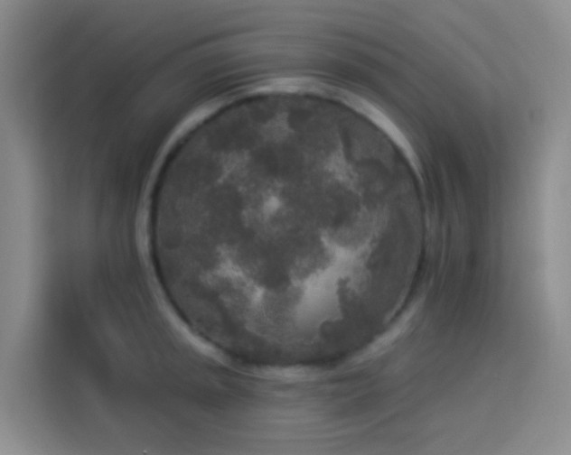 X0000114131045200910081240