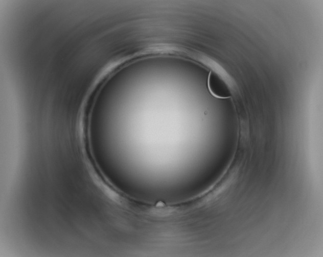 X0000114131046200910081240