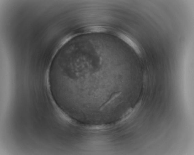 X0000114131047200910081240