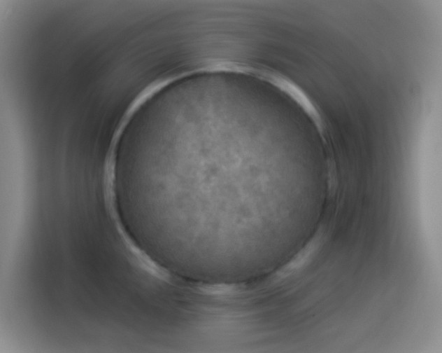 X0000114131048200910081240