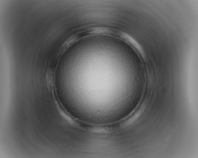 X0000114131049200910081240