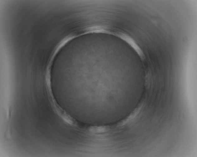 X0000114131051200910081240