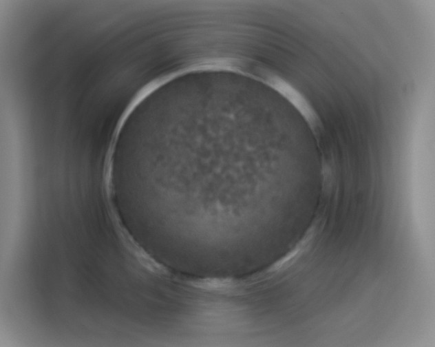 X0000114131052200910081240