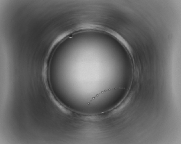 X0000114131053200910081240