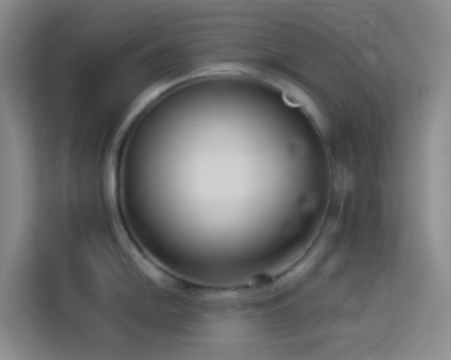X0000114131054200910081240