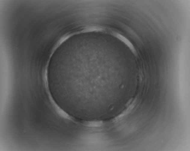 X0000114131055200910081240